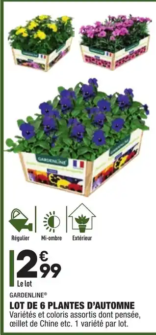 ALDI Lot de 6 Plantes d'Automne offre