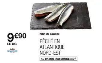 Filet de sardine