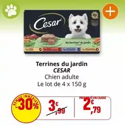 Carrefour Drive Krups - machine multi-boissons piccolo xs dolce gusto réf.: yy4556fd offre