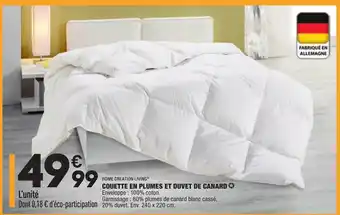 ALDI Couette En Plumes Et Duvet de Canard offre