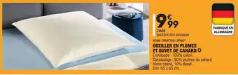 ALDI Oreiller En Plumes Et Duvet de Canard offre