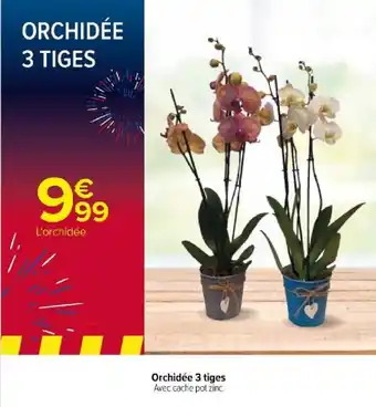 Carrefour Orchidée 3 tiges Avec cache pot zinc. offre