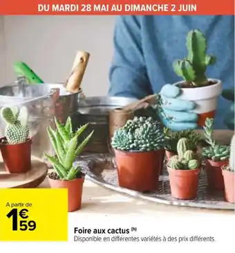 Carrefour Market Foire aux cactus (h) offre