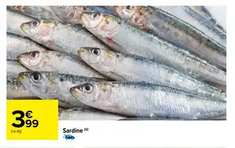 Carrefour Sardine (0) offre