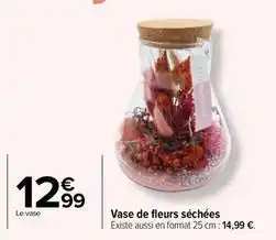 Carrefour Drive Vase de fleurs sechees offre