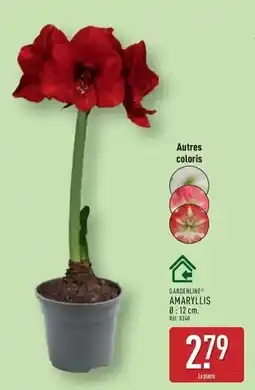 Carrefour Drive Danone - skyr prix choc offre