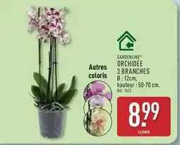 Carrefour Drive Panzani - pâtes cuisson rapide les 3 minutes offre