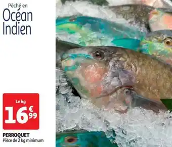 Auchan PERROQUET offre