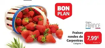 Colruyt Fraises rondes de carpentras offre