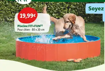 Maxi Zoo FIT+FUN Piscine offre