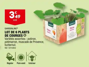 ALDI GARDENLINE LOT DE 6 PLANTS DE COURGES offre