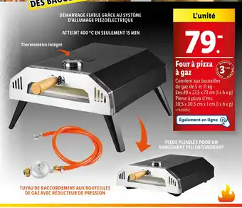 Lidl GRILL MEISTER Four à pizza à gaz offre