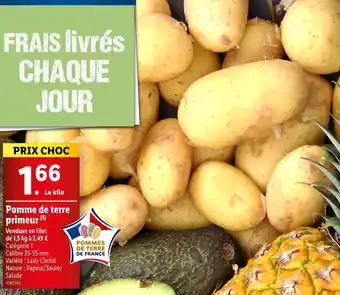 Lidl Pomme de terre primeur offre