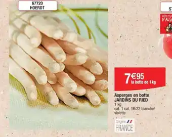 Asperges en botte JARDINS DU RIED