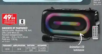 ENCEINTE BT PANTHER