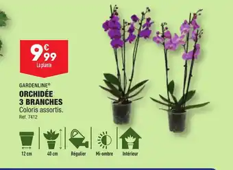 ALDI ORCHIDÉE 3 BRANCHES offre