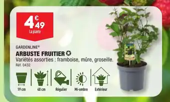 ALDI ARBUSTE FRUITIER offre