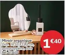 Gifi Miroir organique offre