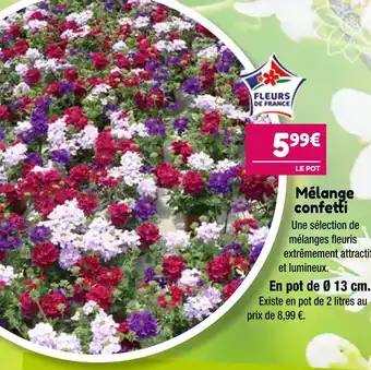 Point Vert Mélange confetti offre