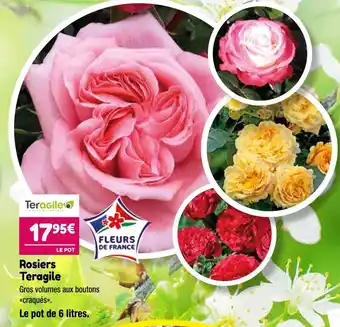 Point Vert Teragile Rosiers offre