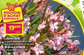 Point Vert Laurier rose offre