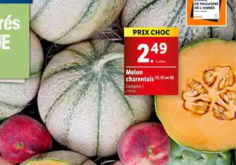 Lidl Melon charentais offre