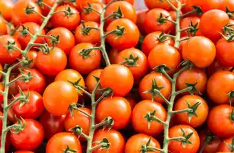 Carrefour Tomates cocktail grappe CARREFOUR Le Marché offre