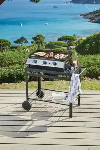 Carrefour Plancha gaz Arona offre