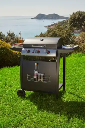 Carrefour Barbecue gaz SEATTLE offre