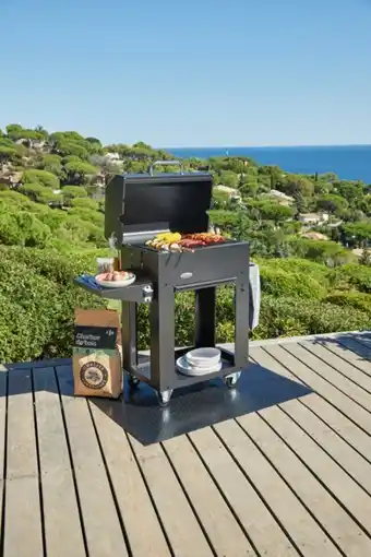 Carrefour Barbecue charbon Miranda offre