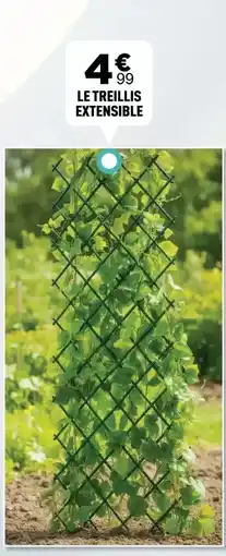 Carrefour Crevettes cuites offre