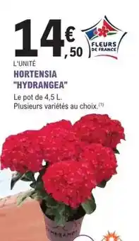 Carrefour Mascarpone offre