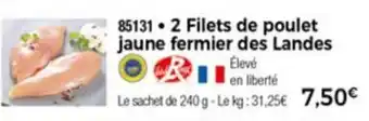 Thiriet 2 Filets de poulet jaune fermier des Landes offre