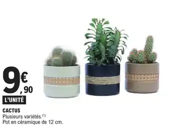 E.Leclerc CACTUS offre