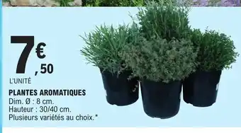 E.Leclerc PLANTES AROMATIQUES offre