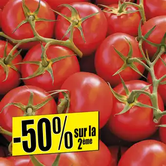 Norma Tomates grappes offre