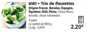 Trio De Fleurettes