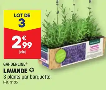 ALDI LAVANDE ✪ offre