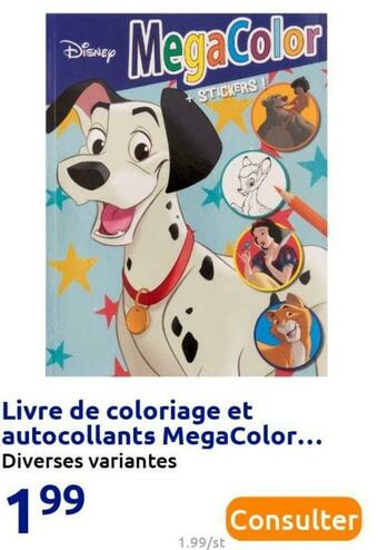 Action Livre de coloriage et autocollants megacolor offre