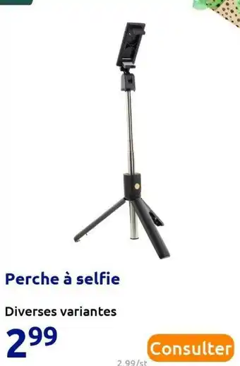 Action Perche à selfie offre