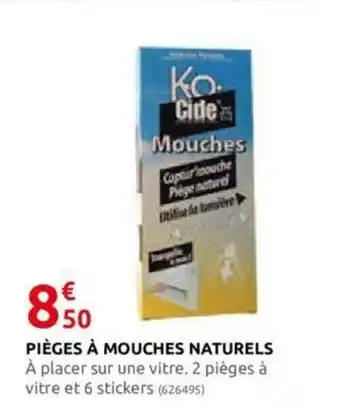 Rural Master PIÈGES À MOUCHES NATURELS offre