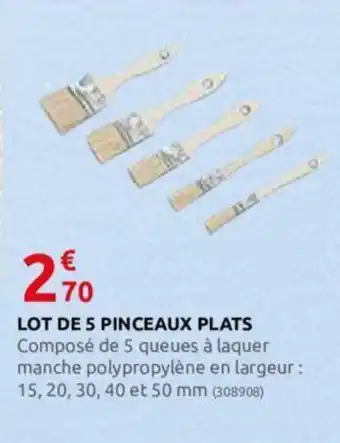 Rural Master LOT DE 5 PINCEAUX PLATS offre