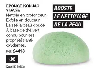 Stanhome ÉPONGE KONJAC VISAGE offre