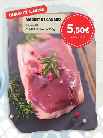 MAGRET DE CANARD