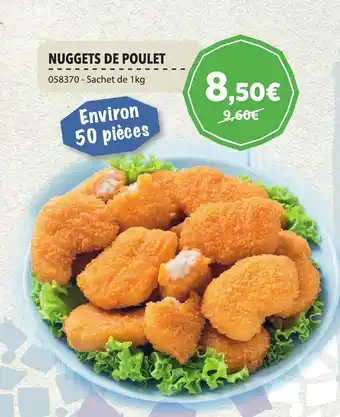 Gel 2000 NUGGETS DE POULET offre
