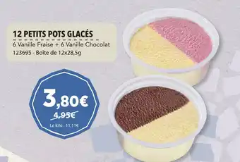 12 PETITS POTS GLACÉS