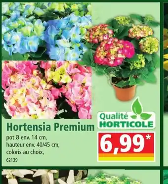 Norma Hortensia Premium offre