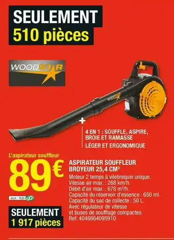 Brico Dépôt Aspirateur souffleur broyeur 25,4 cm3 offre
