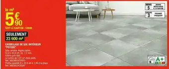 Brico Dépôt Carrelage de sol intérieur "potosi" offre