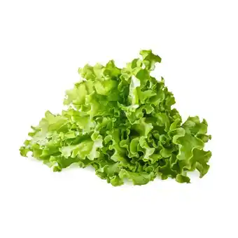 Auchan Batavia Ou Feuille De Chêne Blonde offre